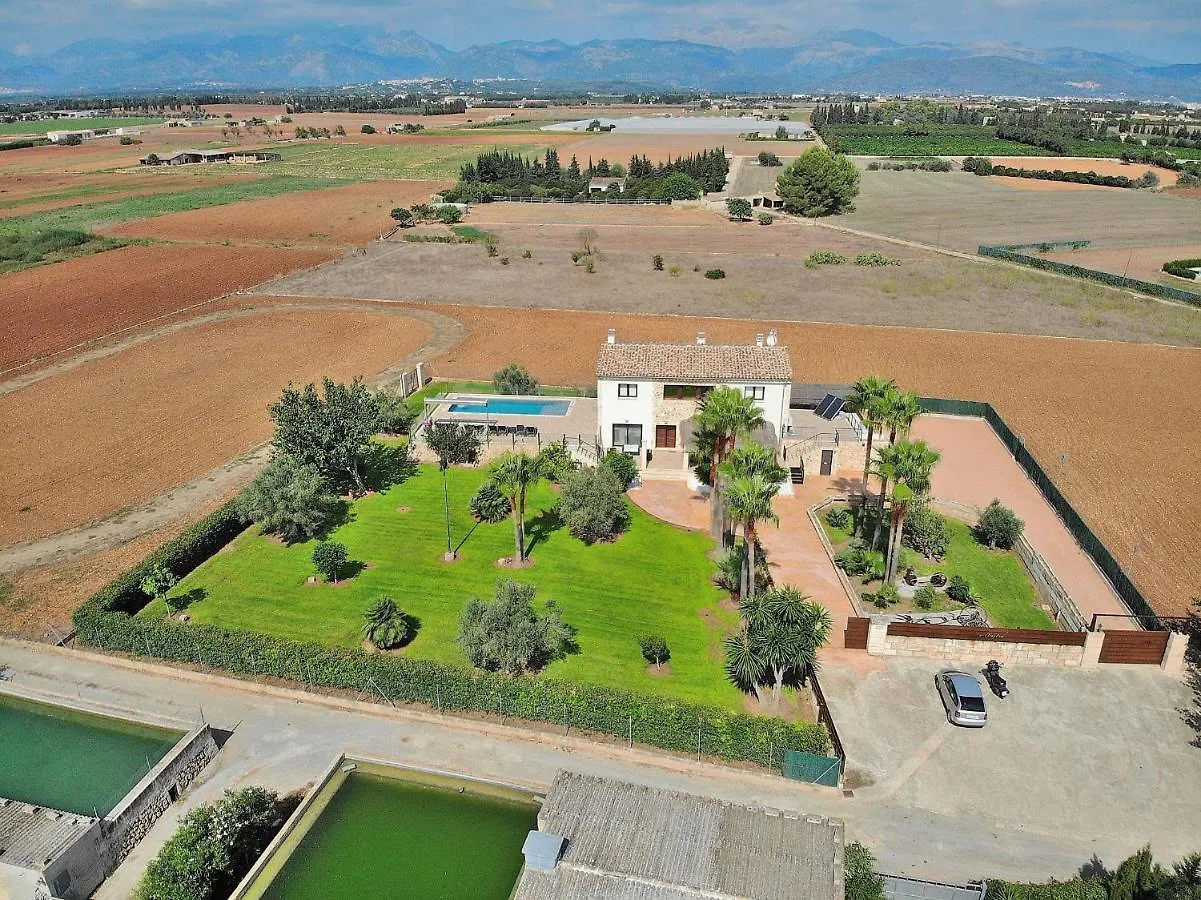 Holiday home 024 Villa Sastre Vt1017 By Mallorca Charme Muro