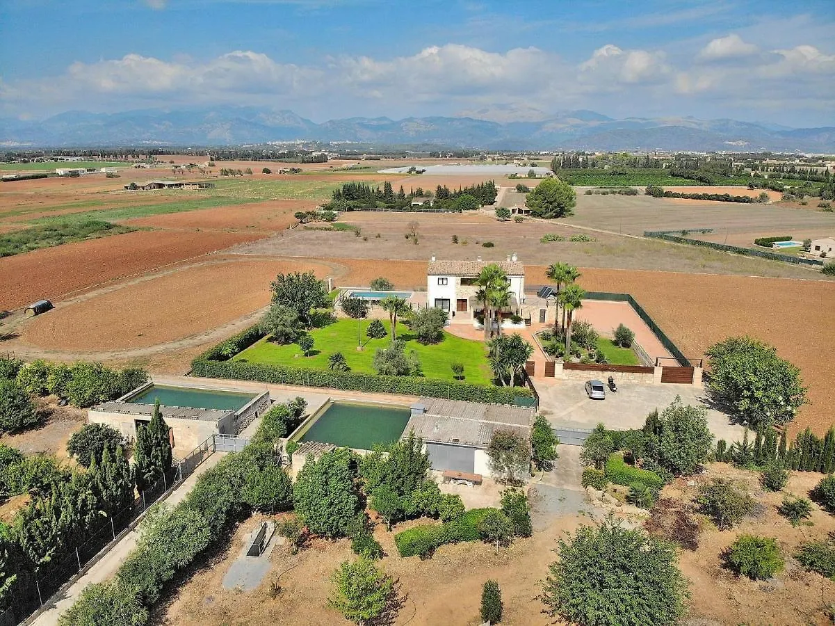 Holiday home 024 Villa Sastre Vt1017 By Mallorca Charme Muro